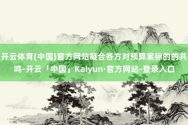 开云体育(中国)官方网站凝合各方对预算案标的的共鸣-开云「中国」Kaiyun·官方网站-登录入口