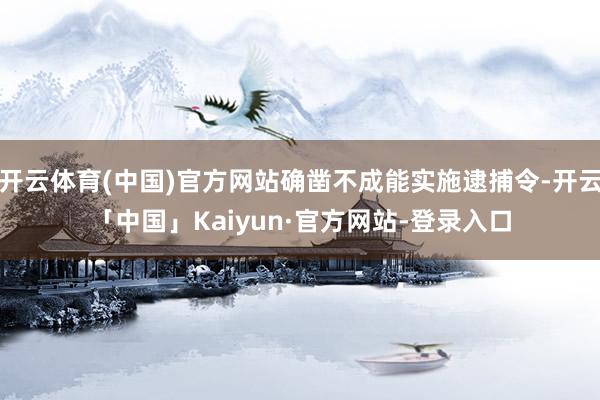 开云体育(中国)官方网站确凿不成能实施逮捕令-开云「中国」Kaiyun·官方网站-登录入口