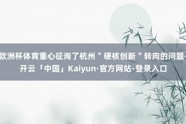 欧洲杯体育重心征询了杭州＂硬核创新＂转向的问题-开云「中国」Kaiyun·官方网站-登录入口
