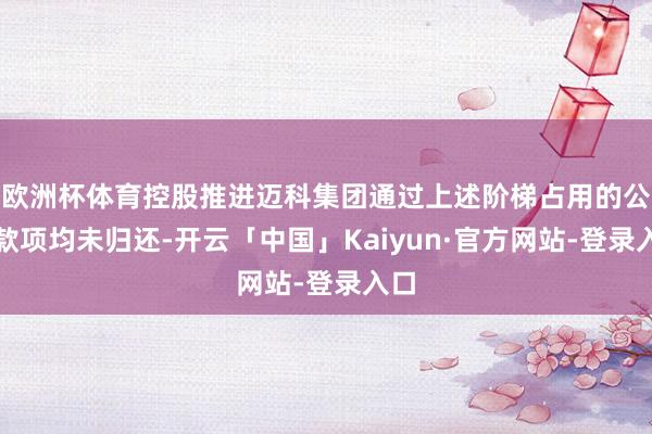 欧洲杯体育控股推进迈科集团通过上述阶梯占用的公司款项均未归还-开云「中国」Kaiyun·官方网站-登录入口